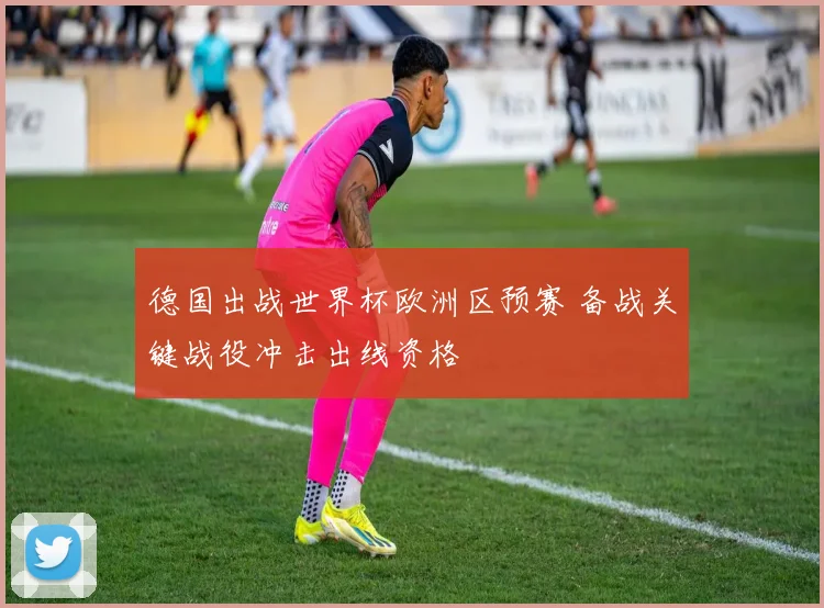 德国出战世界杯欧洲区预赛 备战关键战役冲击出线资格